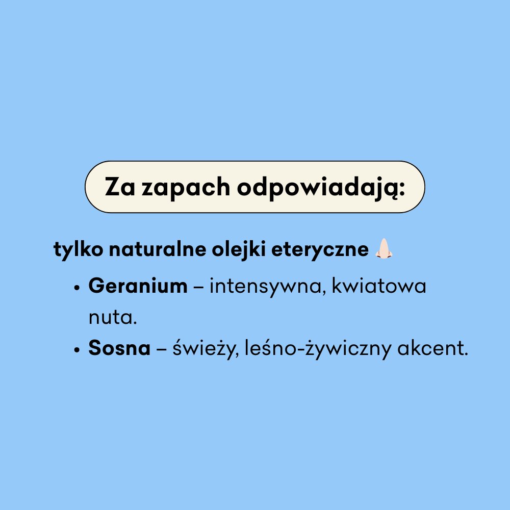 Leśna Róża - Refill Pack - naturalne mydło w płynie 